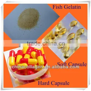 Halal Gelatin thumbnail-1