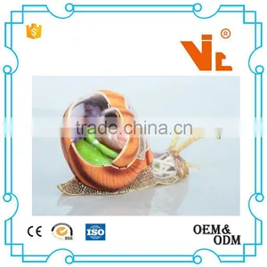 V-AM055 4D MASTER Snail Specimens Anatomical Model thumbnail-4