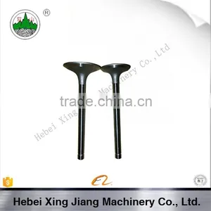 Hebei Diesel Engine Parts S195 Valve For Diesel Walking Tractor Parts thumbnail-1
