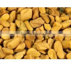 Fenugreek Seed Manufacturer thumbnail-1