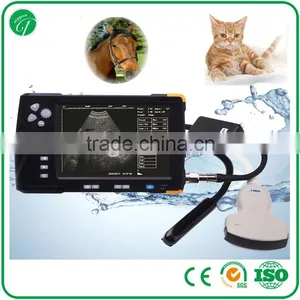 Vet Handheld Ultrasound Scanner/Light Weight and Convenient/ Diagnostic Equipment for Animal thumbnail-1