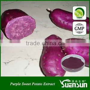 High Quality Purple Sweet Potato Color Anthocyanin Color Powder thumbnail-1