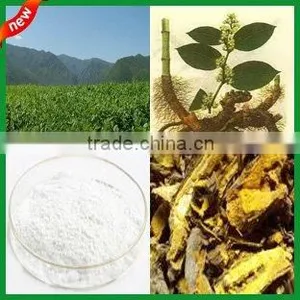 Resveratrol thumbnail-1