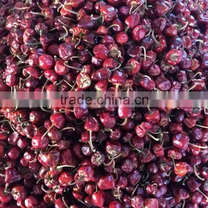 Dry Round Red Chilli From India thumbnail-2