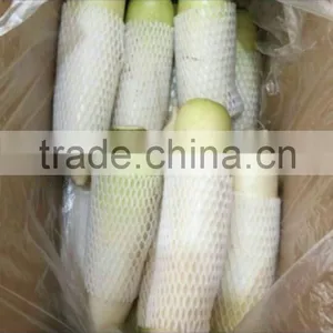 Mooli White Raddish Exporter thumbnail-1