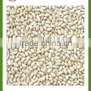 Offer China Shandong Blanched Peanut Groundnut Splits thumbnail-5