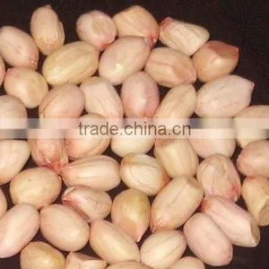 Groundnut Supplier From India thumbnail-1