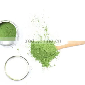 USDA Certified Health Natural Food Color Organic Matcha Green Tea Powder thumbnail-5