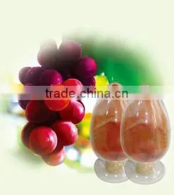 Purest 100% Natural Freeze-Dried Grape Juice Fruit Powder Vitis Vinifera for Food and Beverage thumbnail-1