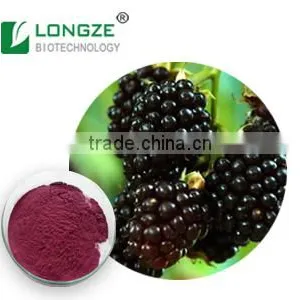 Good Water Soluble Anti-oxidant Blackberry Extract Powder With Anthocyanidins 25% ,Anthocyanins 1-25% thumbnail-1