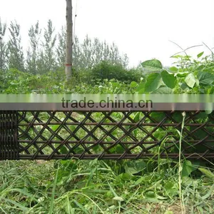 Willow Border thumbnail-1