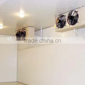 Cold Storage Room for Fruits and Vegetables With Competitive Price thumbnail-2
