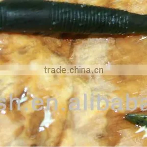 Worm thumbnail-1