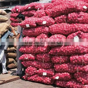 Vietnam Fresh Onion for Kuwait Market thumbnail-3