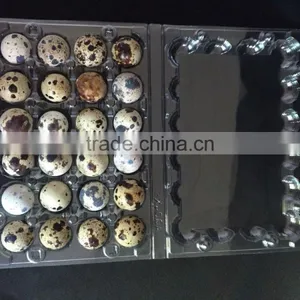 High Quality Disposable Quail Egg Tray 24 Holes thumbnail-2