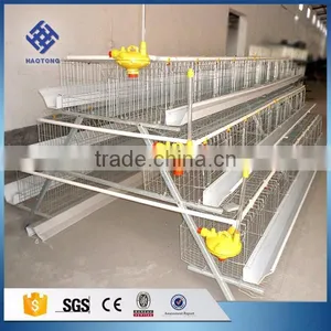 30 Years' Factory Supply Automatic Chicken Nest thumbnail-1