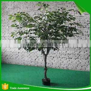 High Quality Lmitation Artificial Ficus Tree thumbnail-3