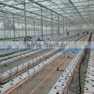 Agricultural Multi Span Glass Greenhouse thumbnail-2