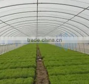 Single Layer Poly Film Greenhouse (ISO9001:2000) thumbnail-1