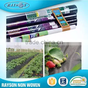17~70g/m2 Biodegradable Weed Control PP Non Woven Weed Mat thumbnail-1