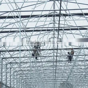 Multi Span Plastic Roofing Sheets Agricultural Commercial Greenhouses for Sale thumbnail-4