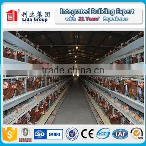 Lida Low Cost Chicken Farm Building thumbnail-2