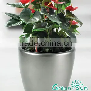 Flowers Pot Online thumbnail-1