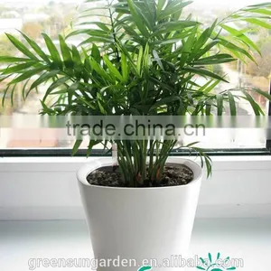 Modern Indoor Decor Small White Ceramic Flower Pot With High Quality thumbnail-1