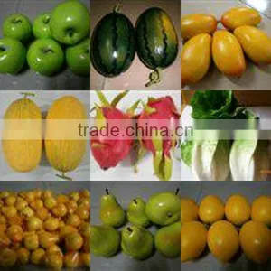 SJH1492906 Fruit and Vegetable Christmas Decoration Plastic Fruit and Vegetables for Kids Decorative Artificial Fruit thumbnail-1