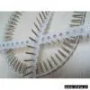 Plastic Strip Screw thumbnail-1