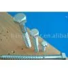 Wood Screw thumbnail-1