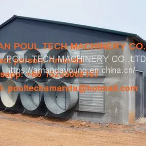 Cameroon Poultry Farming A Type Battery Layer Cage & Chicken Coop & Hot Galvanized Cage & Hen Cage With 120 Birds in Shed thumbnail-3