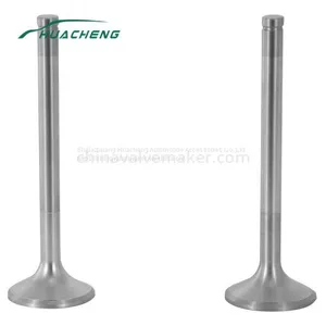 Truck Spare Parts Engine Valve for STEYR WD615.67 thumbnail-1