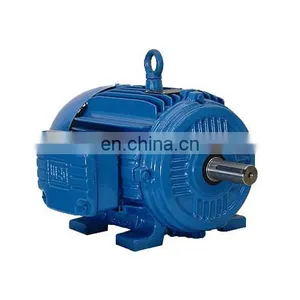 The Best and Cheapest 1/4 hp Induction Motor 230v With Factory Price thumbnail-1