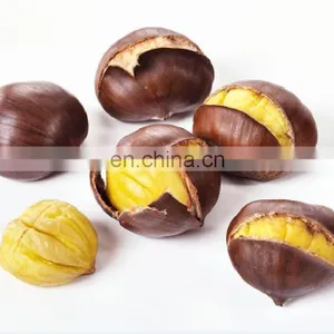 Sweet Chestnut Good Quality Organic Roasted Chestnuts With Shell thumbnail-2