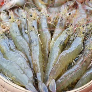 Frozen Vannamei White Shrimp For Sale thumbnail-3
