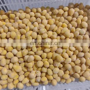 Sinocharm BRC-A Approved New Crop IQF Frozen Ginkgo Nut IQF Ginkgo Nut thumbnail-3