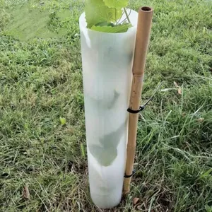 PP Correx Tree Protectors – UV Treated Sapling Guard Tubes / Tree Shelter Panels thumbnail-2