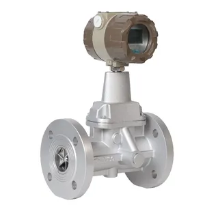 High Accuracy Digital SS304 4-20mA Gas Swirl Flowmeter For Hydrogen Oxygen thumbnail-4