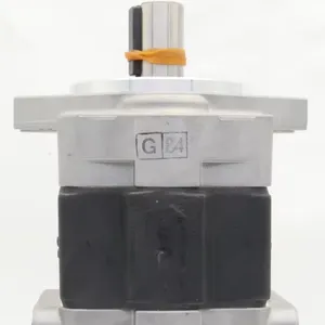 Hydraulikpumpe SDY1 SDY SD DDG SDB SD1 Zahnradpumpe SDY1-275L896 Hydraulikölpumpe SDY1-275L896 thumbnail-1