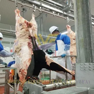 Full Hanging Cow Slaughter Machinery Project Cow Butcher Equipment Durable Stainless Steel Abattoir Line Beef Processing Plant thumbnail-1