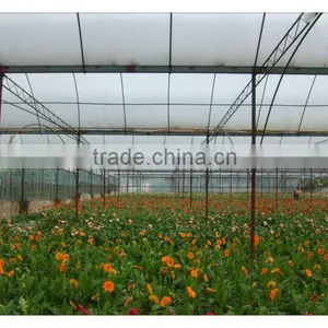 Plastic Shade House thumbnail-2