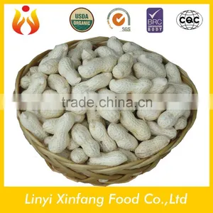 Shandong Wholesale Peanuts Peanuts 1kg Price thumbnail-1