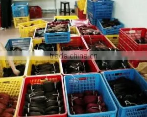 Shanghai Ocean International Corp., Ltd. company overview - view 2 thumbnail