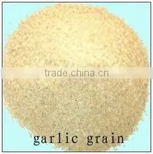 Dehydrated Garlic Powder/granule/ Flakes thumbnail-1