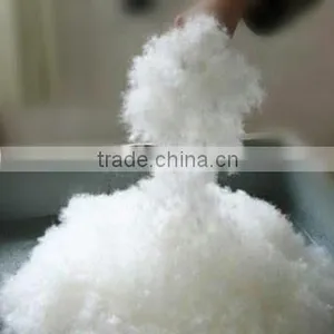 25% Washed White Duck Down thumbnail-1