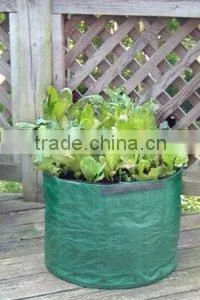 Environmental Friendly PE Salad Growing Bag,Reusable Salad Planter Bags,Salad Planters thumbnail-1