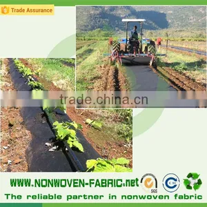 Landscape Item Non Woven PP Fabric thumbnail-4