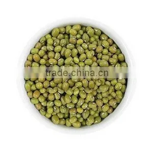 2012 Crop Green Bean thumbnail-1