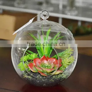 CIA 2016 New Design High Quality Artificial Succulent Plants Mini Succulent Plant thumbnail-4